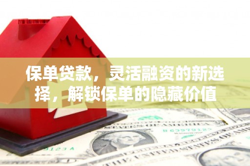 零陵保单贷款，灵活融资的新选择，解锁保单的隐藏价值