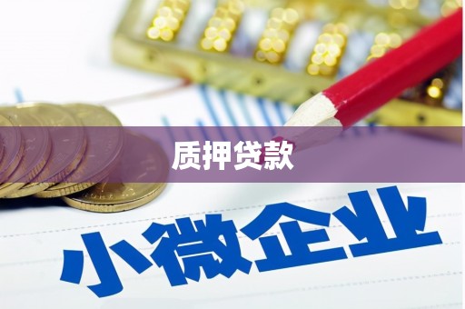 零陵质押贷款