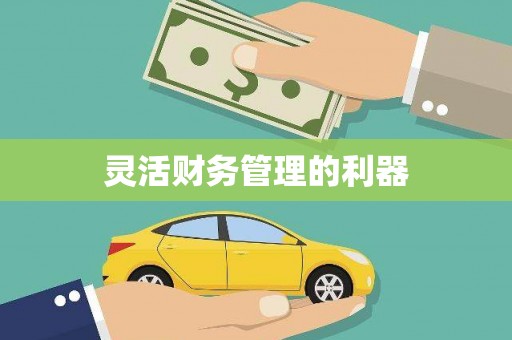 零陵灵活财务管理的利器