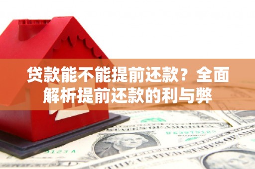 零陵贷款能不能提前还款？全面解析提前还款的利与弊
