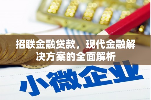 零陵招联金融贷款，现代金融解决方案的全面解析