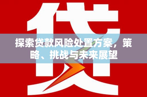 零陵探索贷款风险处置方案，策略、挑战与未来展望