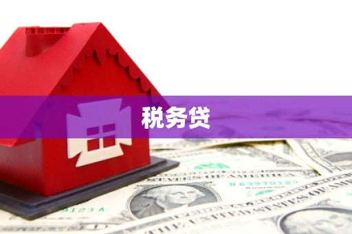 零陵税务贷