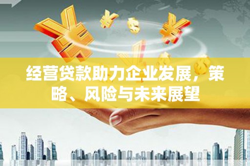 零陵经营贷款助力企业发展，策略、风险与未来展望