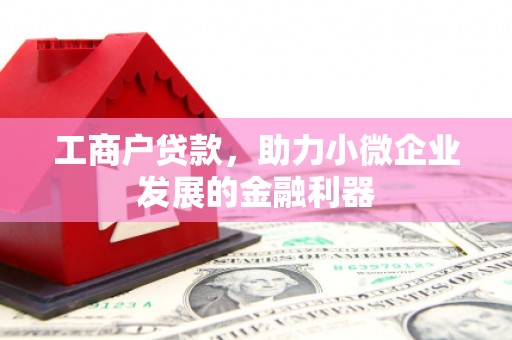 零陵工商户贷款，助力小微企业发展的金融利器