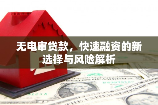 零陵无电审贷款，快速融资的新选择与风险解析