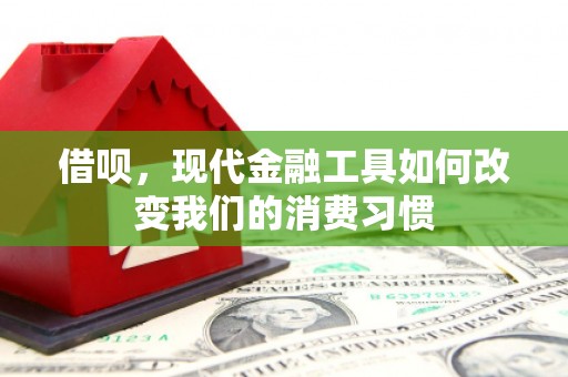 零陵借呗，现代金融工具如何改变我们的消费习惯