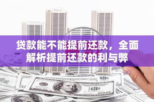 零陵贷款能不能提前还款，全面解析提前还款的利与弊