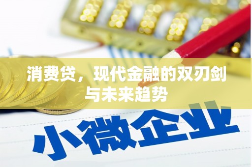 零陵消费贷，现代金融的双刃剑与未来趋势