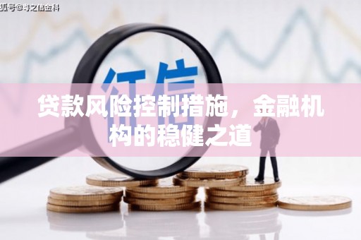 零陵贷款风险控制措施，金融机构的稳健之道