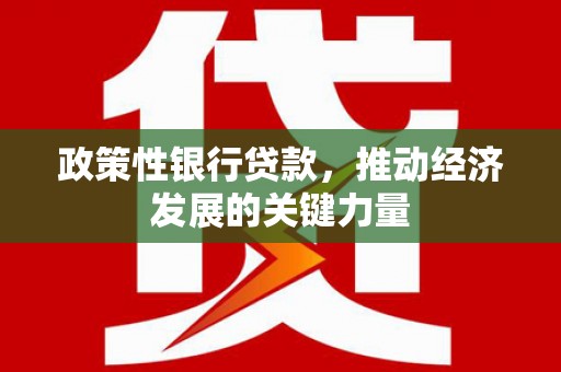 零陵政策性银行贷款，推动经济发展的关键力量