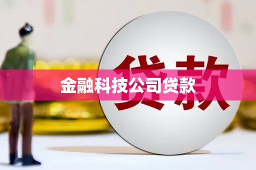 零陵金融科技公司贷款