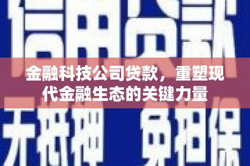 零陵金融科技公司贷款，重塑现代金融生态的关键力量