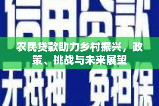 零陵农民贷款助力乡村振兴，政策、挑战与未来展望