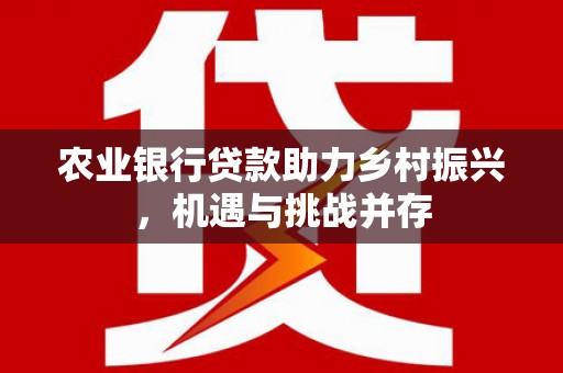零陵农业银行贷款助力乡村振兴，机遇与挑战并存