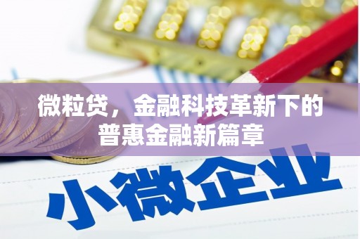 零陵微粒贷，金融科技革新下的普惠金融新篇章