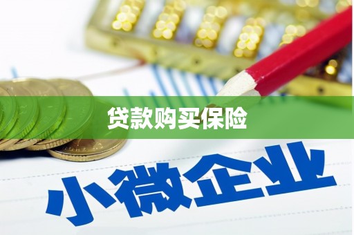 零陵贷款购买保险