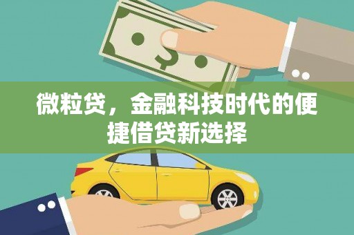 零陵微粒贷，金融科技时代的便捷借贷新选择