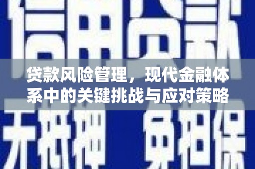 零陵贷款风险管理，现代金融体系中的关键挑战与应对策略