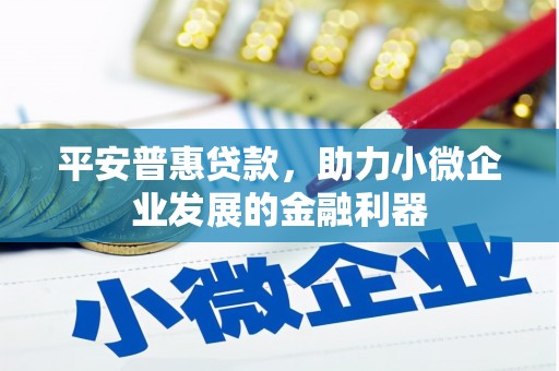 零陵平安普惠贷款，助力小微企业发展的金融利器