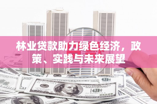 零陵林业贷款助力绿色经济，政策、实践与未来展望