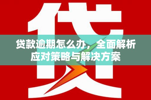 零陵贷款逾期怎么办，全面解析应对策略与解决方案