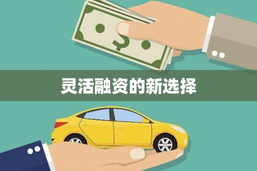 零陵灵活融资的新选择