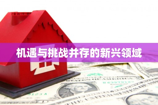 零陵机遇与挑战并存的新兴领域