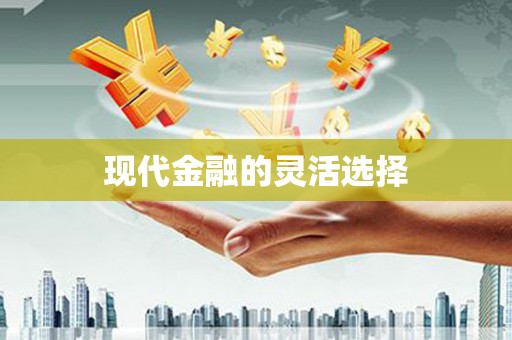 零陵现代金融的灵活选择
