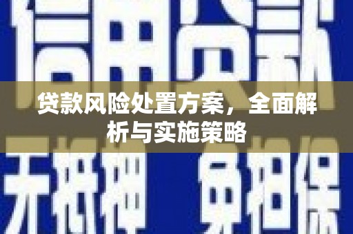 零陵贷款风险处置方案，全面解析与实施策略