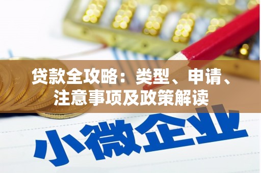 零陵贷款全攻略：类型、申请、注意事项及政策解读